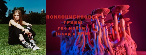 spice Алзамай