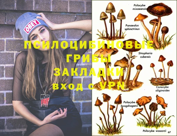 spice Алзамай